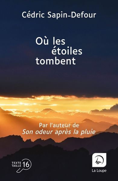 Image de Où les étoiles tombent
