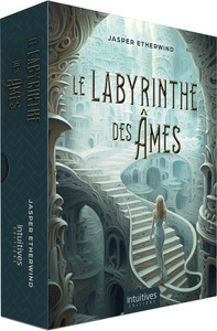 Image de Le Labyrinthe des âmes