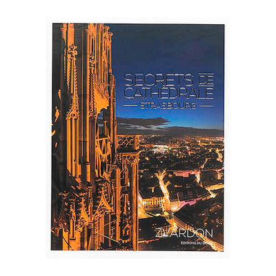 Image de SECRETS DE CATHEDRALE