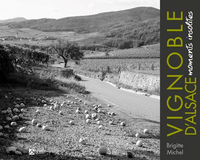Picture of Vignoble D'Alsace - Moments Insolites