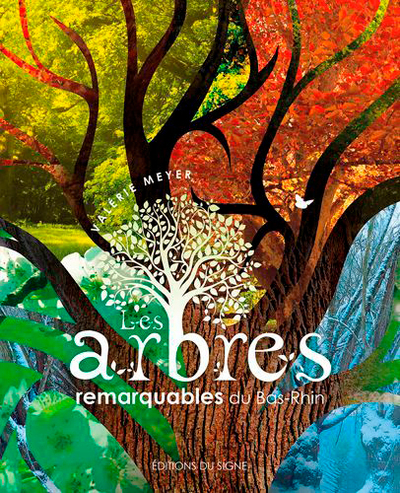 Image de Les Arbres Remarquables Du Bas-Rhin
