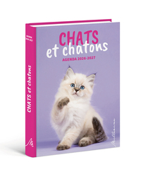 Image de Agenda scolaire 2026-2027 Chats et chatons