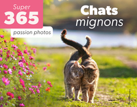 Picture of Le super 365 Chats mignons
