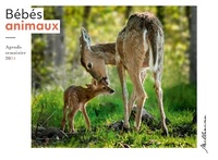 Picture of Semainier 2024 - Bébés animaux