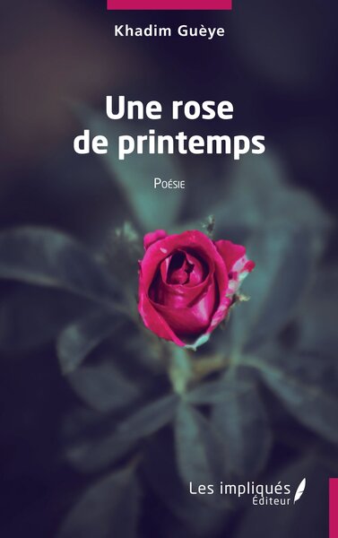 Picture of Une rose de printemps