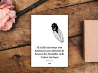 Image de Il a fallu du temps aux hommes pour admettre la beauté des Dentelles et de l'odeur du thym