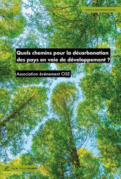 Picture of Quels chemins pour la décarbonation des pays en voie de développement ?