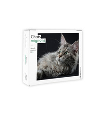 Picture of Semainier 2026 - Chats mignons
