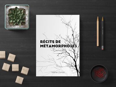 Image de Récits de métamorphoses
