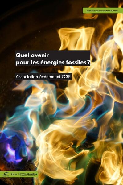 Picture of Quel avenir pour les énergies fossiles?