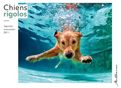 Picture of Semainier 2024 - Chiens rigolos