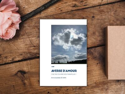 Image de Averse d'amour (ne pas ouvrir son parapluie)