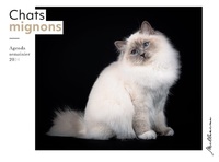 Picture of Semainier 2024 - Chats mignons