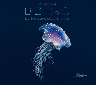 Picture of BZH2O