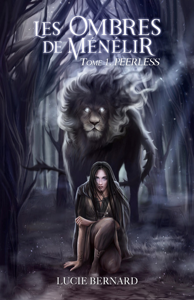 Image de Les Ombres de Ménélir