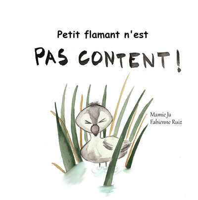 Picture of PETIT FLAMANT N'EST PAS CONTENT !
