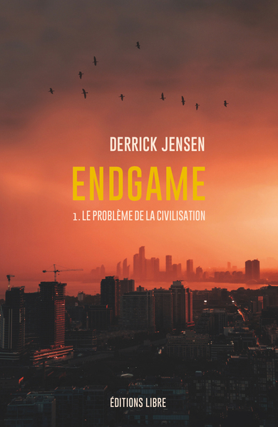 Image de Endgame T01