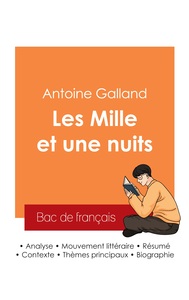 Image de Réussir son Bac de français 2025 : Analyse du recueil Les Mille et une nuits de Antoine Galland