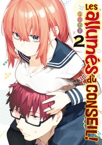 Picture of Les allumés du conseil ! - Tome 02