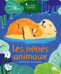 Picture of Bébés animaux