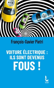 Picture of Voiture électrique : ils sont devenus fous !