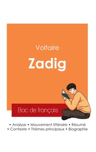 Image de Réussir son Bac de français 2025 : Analyse de Zadig de Voltaire