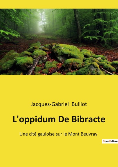 Picture of L'oppidum De Bibracte