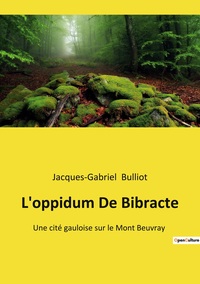 Picture of L'oppidum De Bibracte