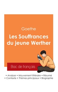 Picture of Réussir son Bac de français 2025 : Analyse de La Souffrance du jeune Werther de Goethe