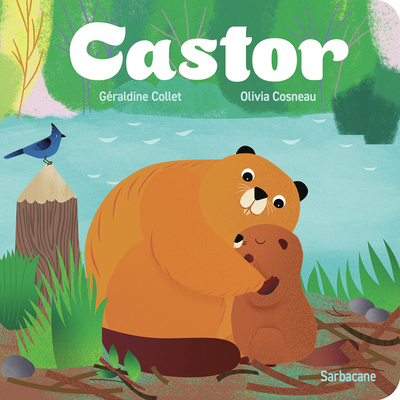 Picture of Castor