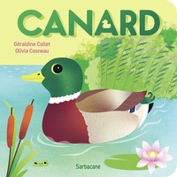 Picture of Canard