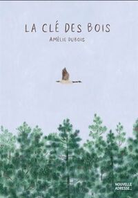Image de LA CLE DES BOIS