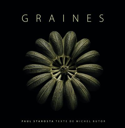 Image de Graines