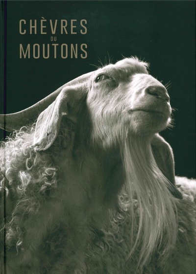 Image de Chèvres ou moutons