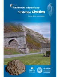 Picture of Stratotype givétien