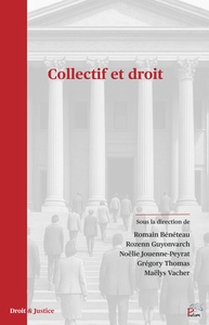 Image de Collectif et droit