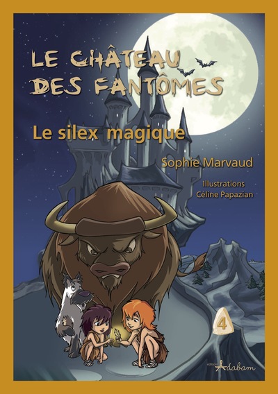 Image de Le silex magique