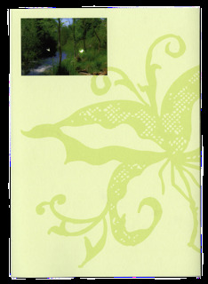 Image de FRESH SUMMER BREEZE