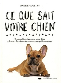 Image de Ce que sait votre chien