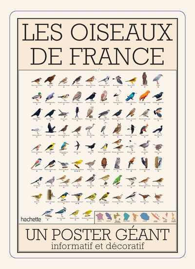 Picture of Oiseaux de France