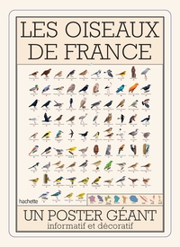 Picture of Oiseaux de France