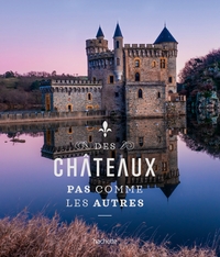 Picture of Des châteaux pas comme les autres