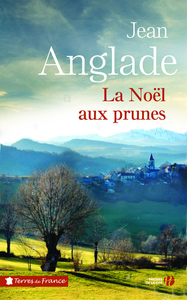 Picture of La noël aux prunes