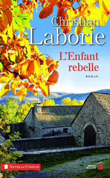 Picture of L'enfant rebelle