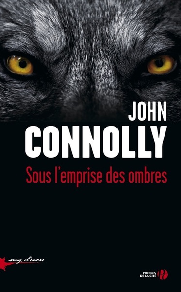 Image de Sous l'emprise des ombres