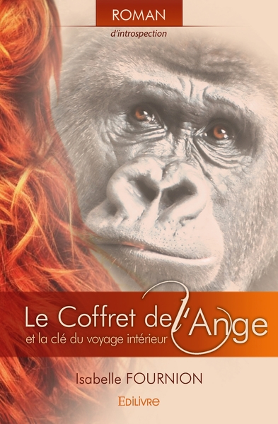 Image de Le Coffret de l'ange et la clé du voyage intérieur