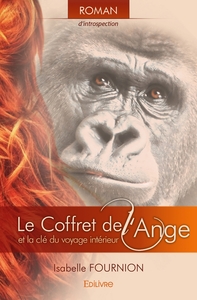 Image de Le Coffret de l'ange et la clé du voyage intérieur