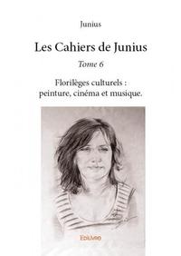 Picture of Les cahiers de junius