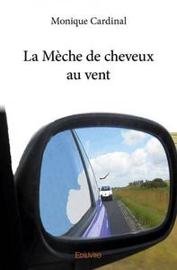 Image de La mèche de cheveux au vent