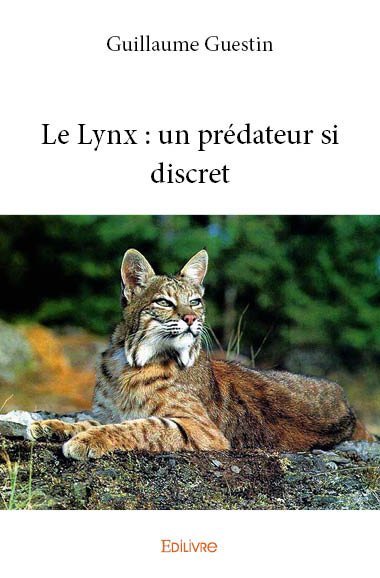 Image de Le lynx : un prédateur si discret